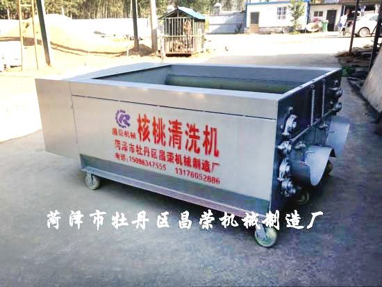 核桃清洗機(jī)